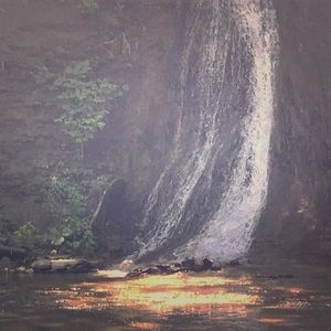 Meet your Posher, Lacey